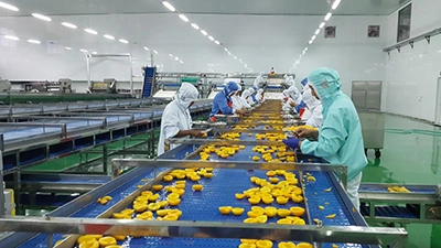 Canned Yellow Peach Production Line