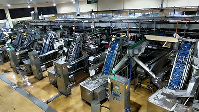 Philippines Canned Sardine Production Line
