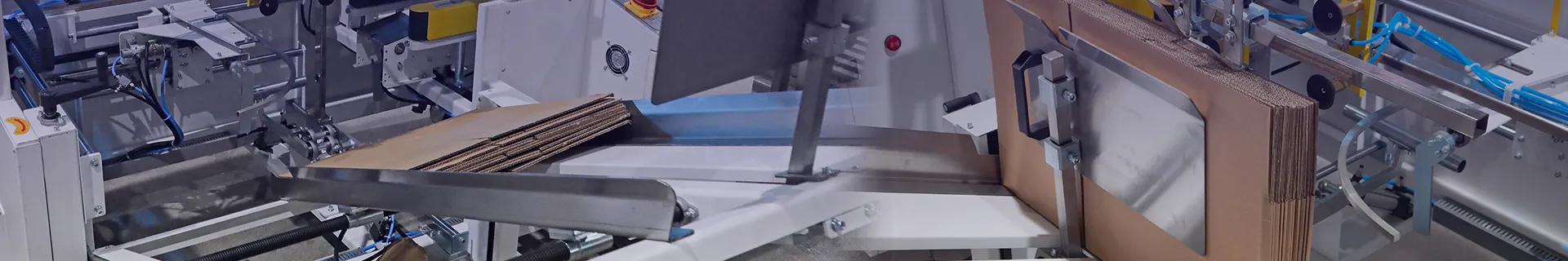 Secondary Packaging & Palletizing Systems