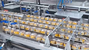 Canned Tuna Production Line