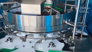 Dried Diced Beef Filling Machine