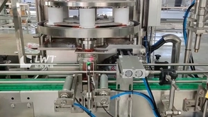Shrimp Paste Filling Machine