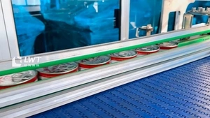 Wrap Around Case Packer