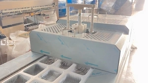 Thermoforming Packaging Machine