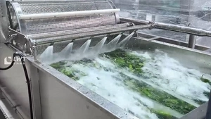 Vegetable Washing Machine