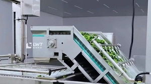 Canned Cucumber Production Line
