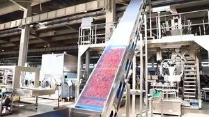 Canned Pepper Production Line