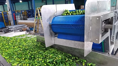 Canned Cucumber Production Line