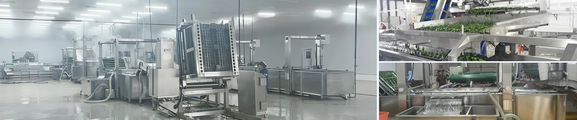 Canned Cucumber Production Line