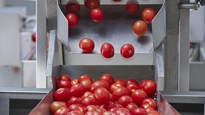 Canned Ketchup Production Line