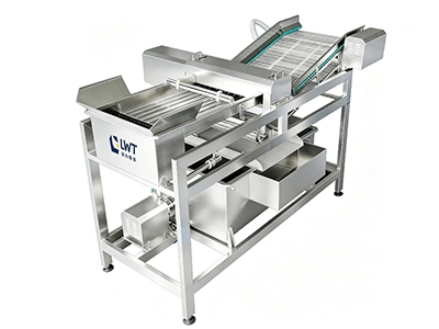 Slicing Machine