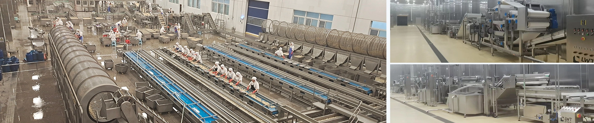 Canned Mushroom Production Line