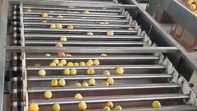 Roller Grading Machine