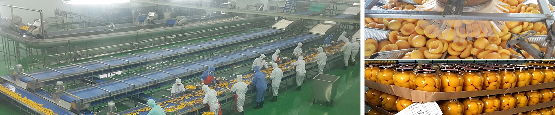Canned Peach Production Line