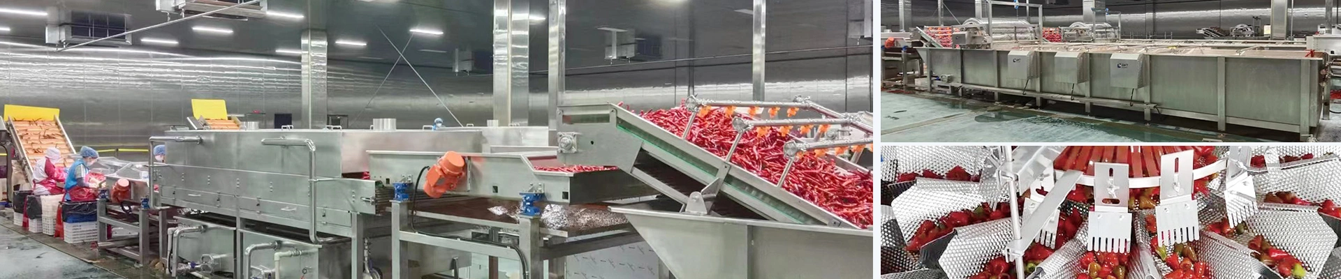 Canned Pickled Pepper Production Line
