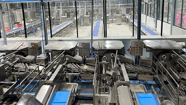 Canned Pineapple Production Line