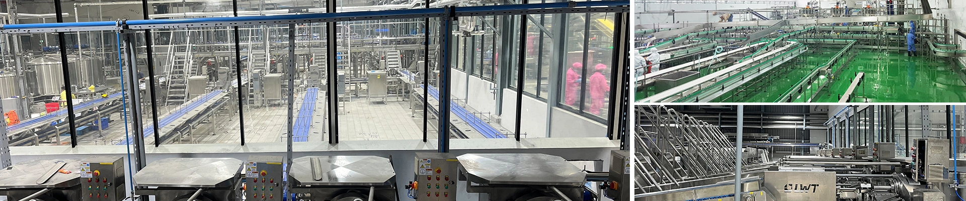 Canned Pineapple Production Line