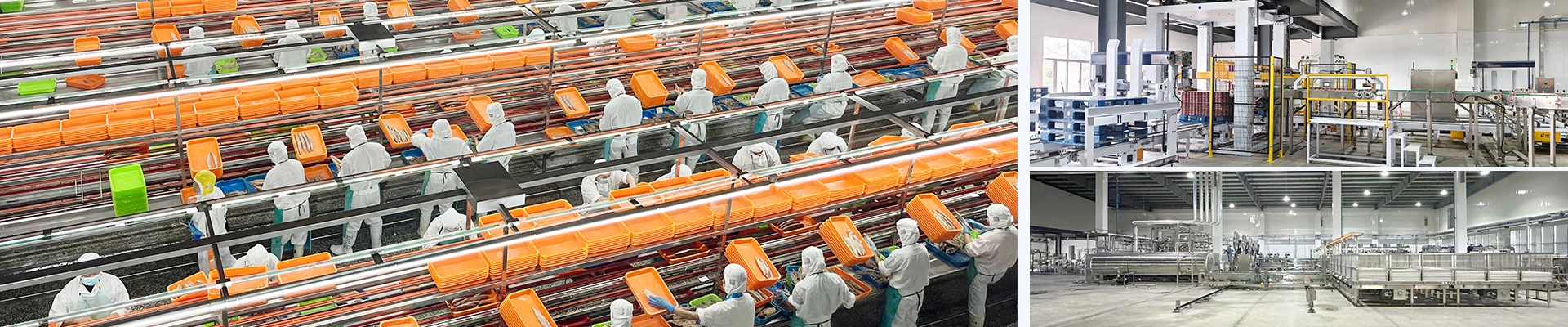 Canned Tuna Production Line