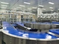 Belt Conveyor