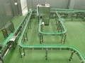 Flexible Chain Conveyor