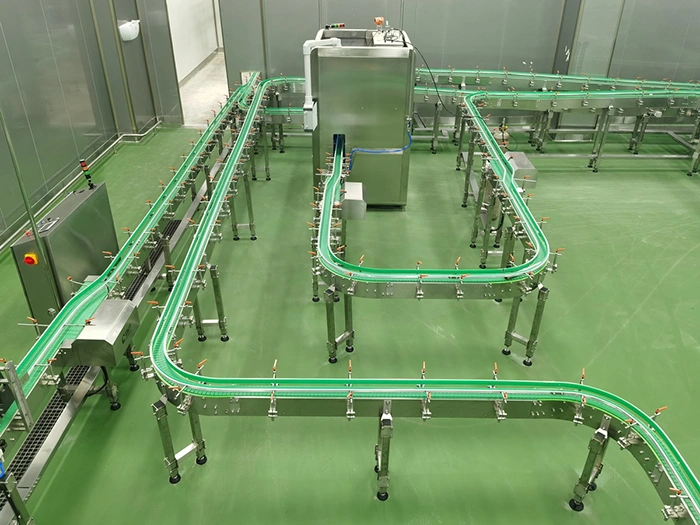 Flexible Chain Conveyor
