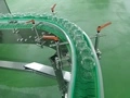Flexible Chain Conveyor