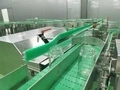 Flexible Chain Conveyor
