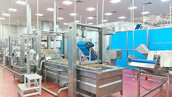 Flexible Packaging Lines