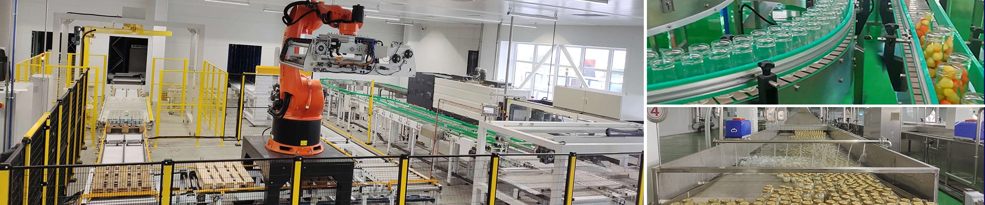 Fruit Canning Lines