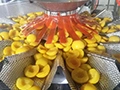 Automatic Multi-Head Weigher Filling Machine
