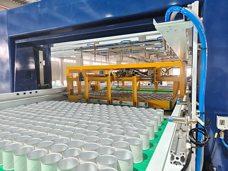 Palletizing & Depalletizing Systems