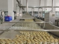 Sterilizer and Pasteurizer