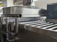 Water Bath Pasteurizer with Roller Conveyor