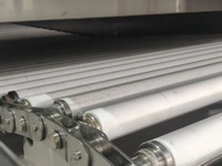 Water Bath Pasteurizer with Roller Conveyor