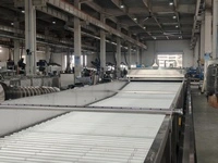 Water Bath Pasteurizer with Roller Conveyor