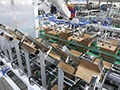 Robotic Case Packer
