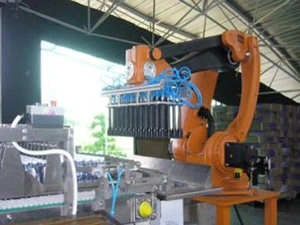 Gripper Heads
