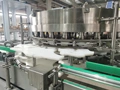 Rotary Filler