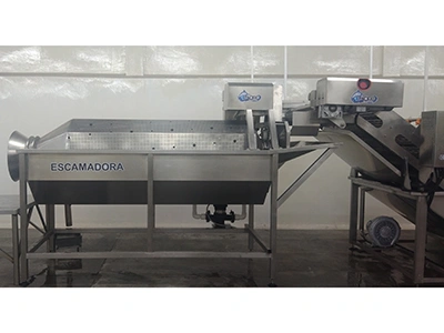 Fish Scaling Machine