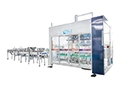 Servo Case Packer