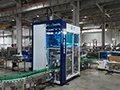 Servo Case Packer