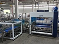 Servo Case Packer